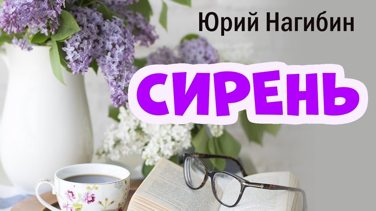 Сирень / Юрий Нагибин