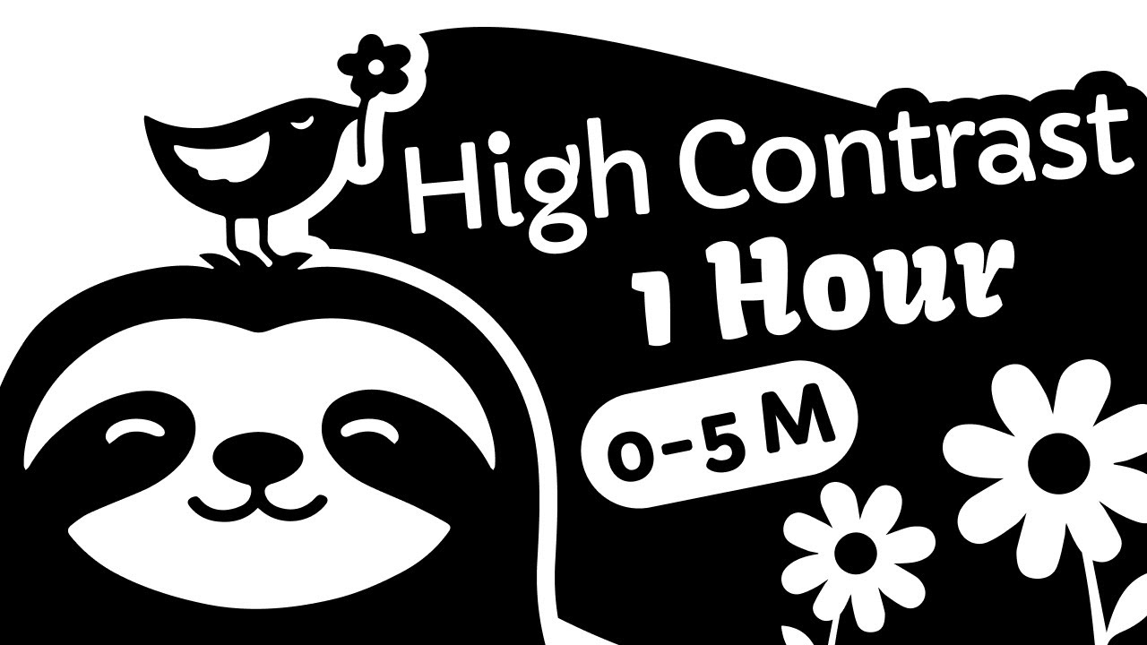 High Contrast Baby Sensory (0–5 Months) – Calming Sloth Story 🦥 | Black & White Visuals (1 Hour)