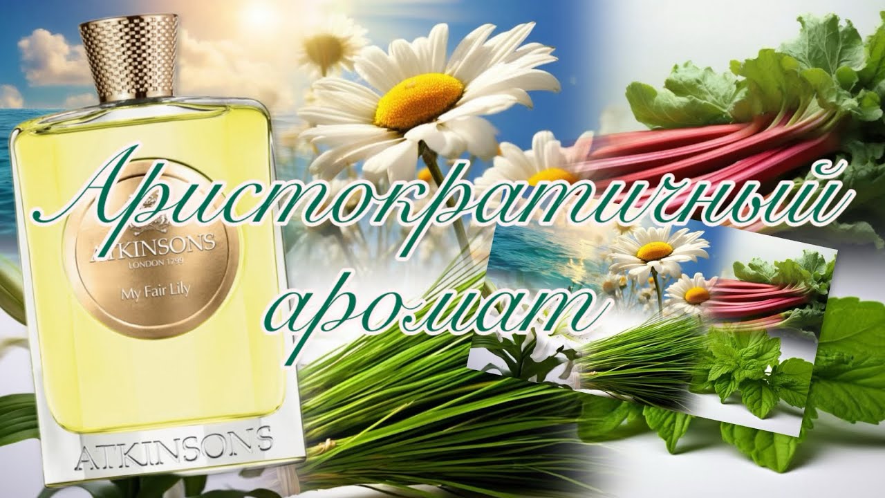 Превращение ромашки в лилию. My Fair Lily Atkinsons.