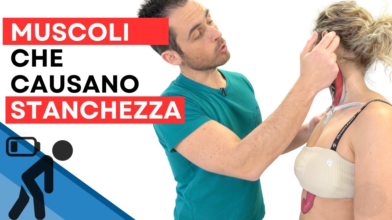 Quando i MUSCOLI causano STANCHEZZA: ecco quali sono e cosa fare