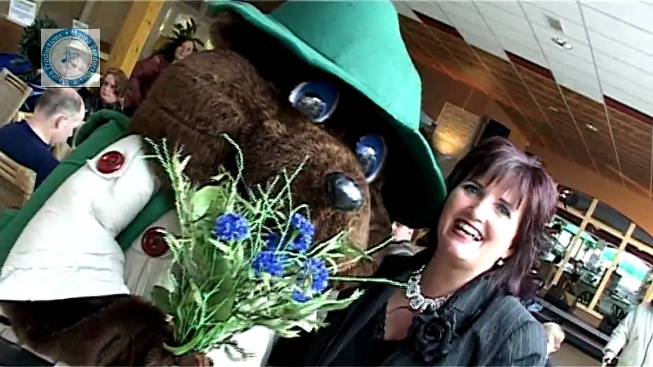 Janneke de Roo - Blauwe Korenbloemen