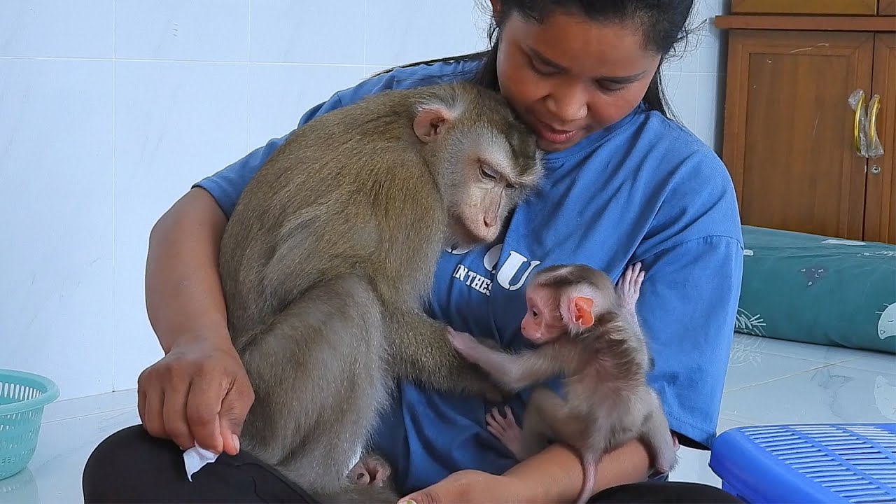 Grandma Take Care Daughter Luna And Newborn Luna