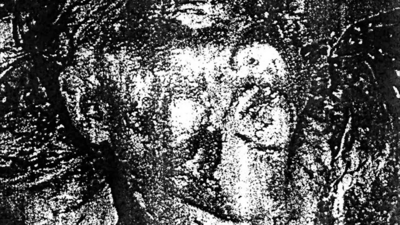 Vile Gash - Agonized Corrosion