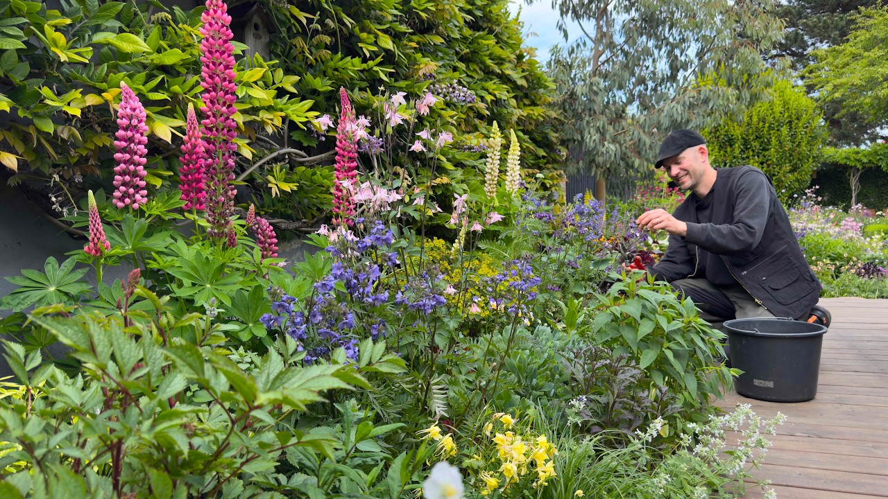 May Garden Tour | Perennial Garden