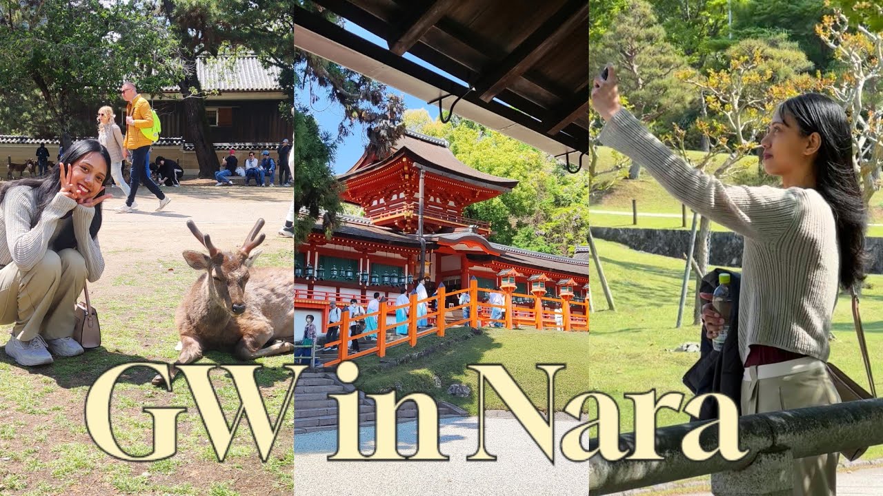 vlog Nara : première rencontre avec les cerfs (un peu difficile)