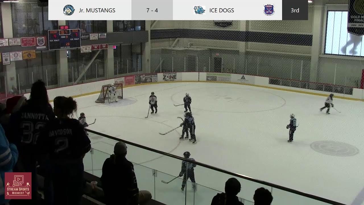 2-8-26 CSDHL Championships at Glenview -  Squirt Red Tier 1  - Jr. Mustangs vs Ice Dogs