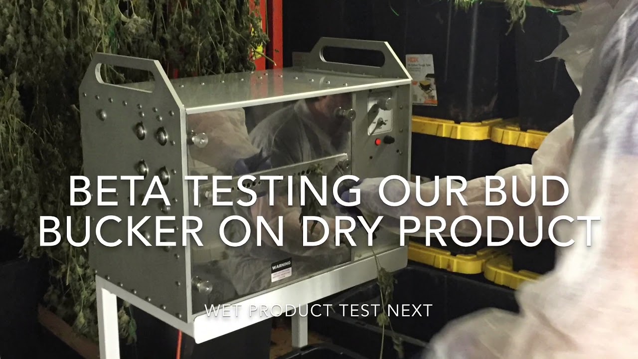 Beta testing our new Bud Bucker