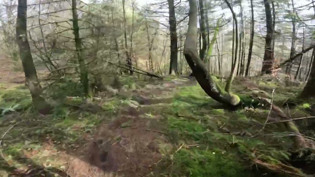 Kirroughtree MTB 7 stanes. Sunday slip and slide 