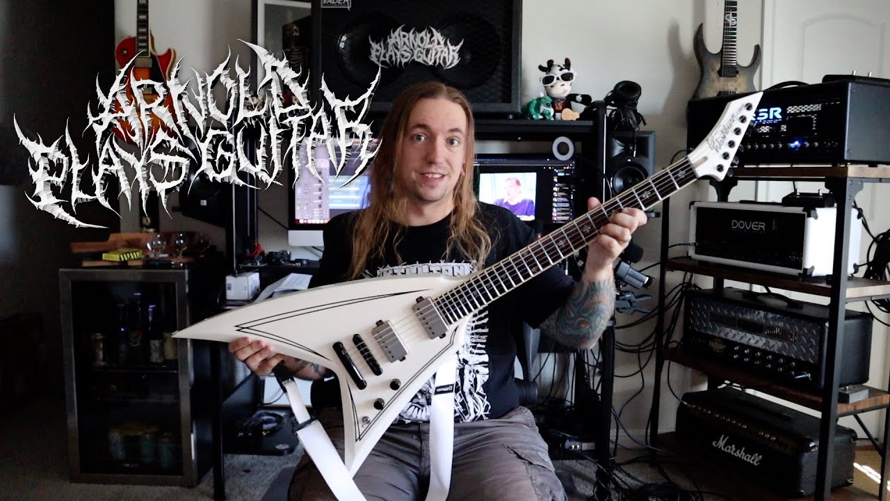 MY PERSONAL GUITARS #8 - Washburn WV40 Vindicator
