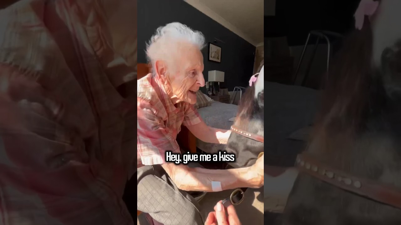 Heartwarming Pony Therapy for 90-Year-Old Patient