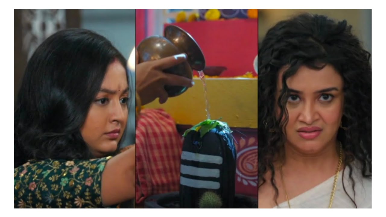 NOYONTARA | New Promo | 16th April | Tara want justice |