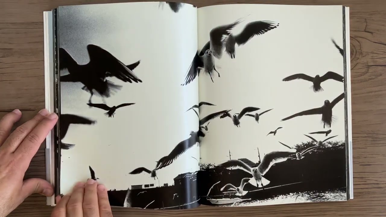 DAIDO MORIYAMA   Erotica : Kyoku