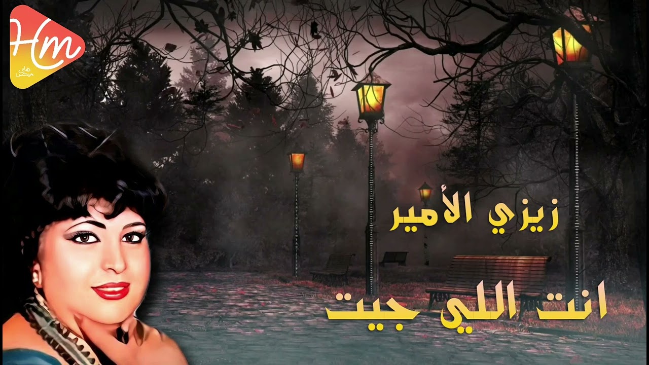 زيزي الأمير - انت اللي جيت
