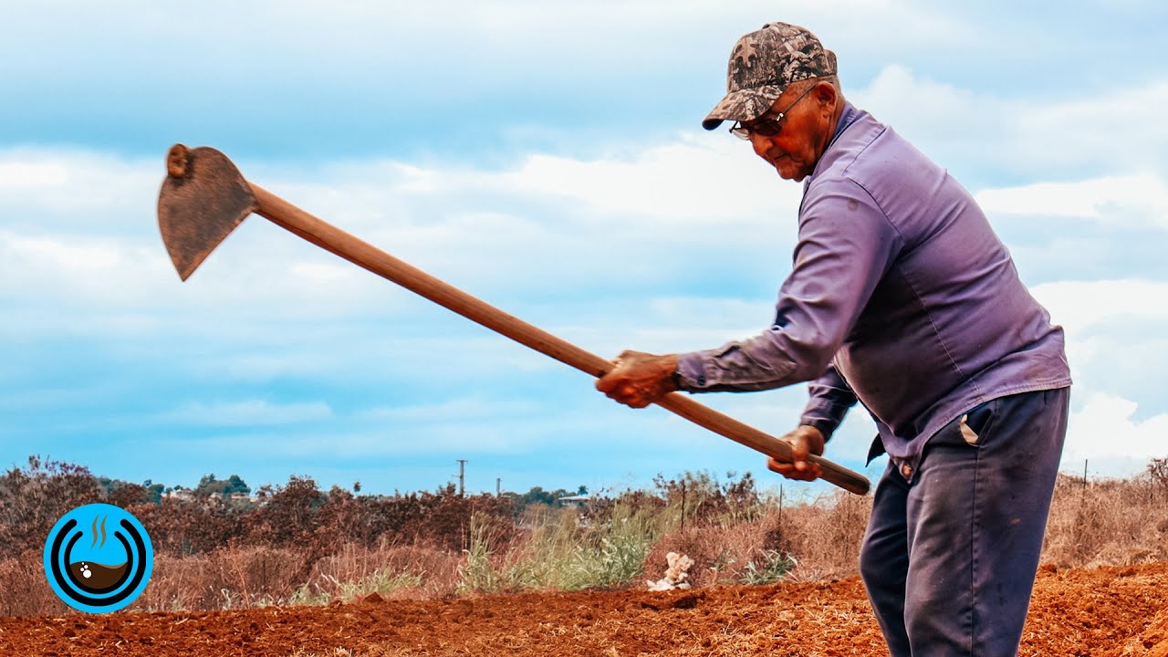 Falta de mano de obra agrícola en Puerto Rico, proponen trabajadores mexicanos