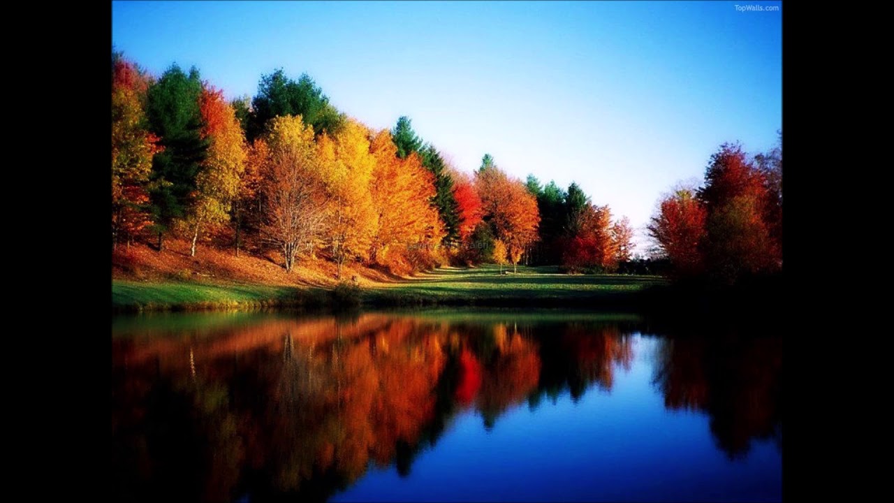 CHANT - What a wonderful world, arrgt. 3 voix