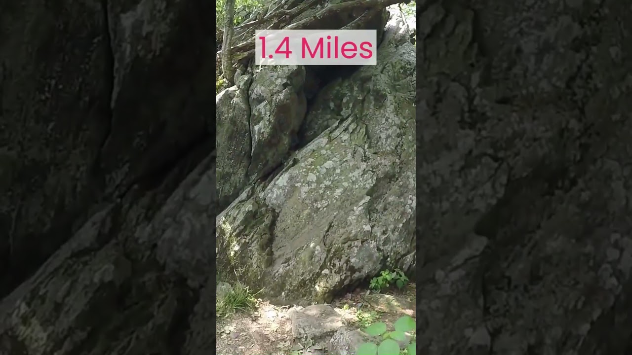 How Long is the Bearfence Rock Scramble? Shenandoah National Park