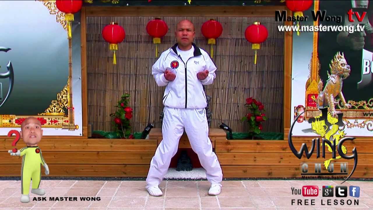 wing chun basics - How to do the basic kicks, lesson 7