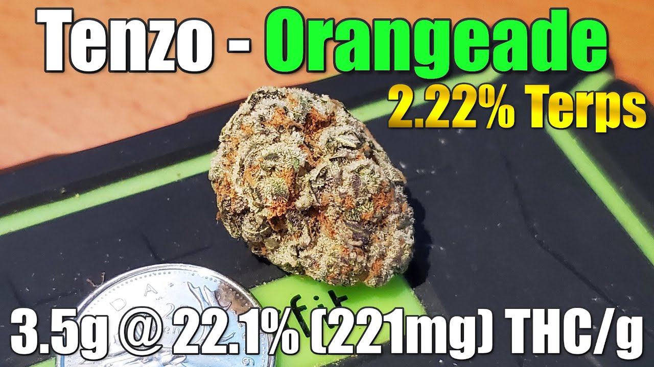 Tenzo - Orangeade - Unboxing Review - 3.5g @ 22.1% (221mg) THC/g | 2.22% Terps (+Extreme Closeups)