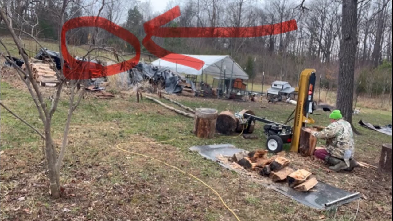 Unknown Forest Creatures Creep In Closer And Closer As Poultry Farmer Splits Firewood 