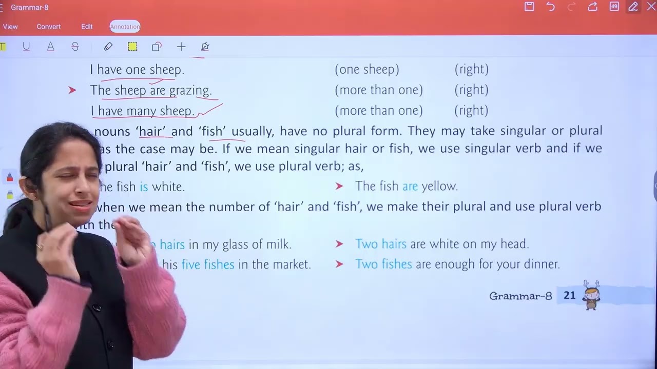 Grammar 8 | Chapter 3 | Nouns