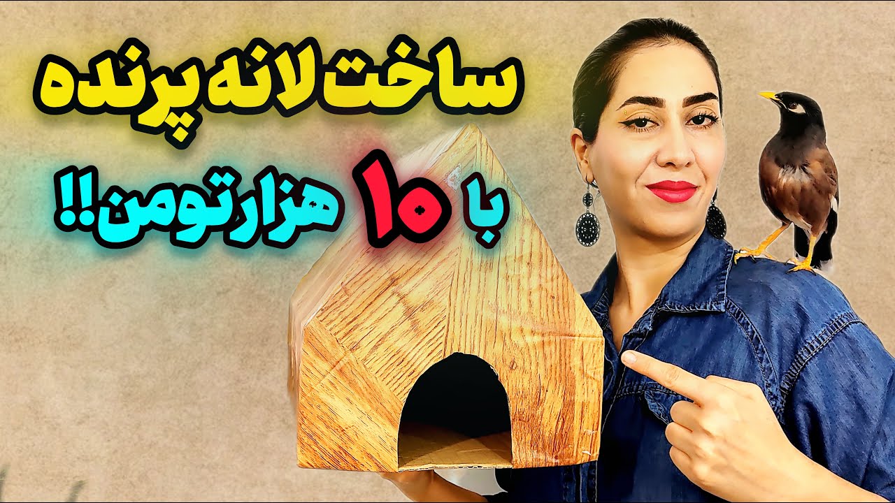 ساخت لانه پرنده در خانه 🏡🐦| ارزانترین لانه پرنده 🤩🤗