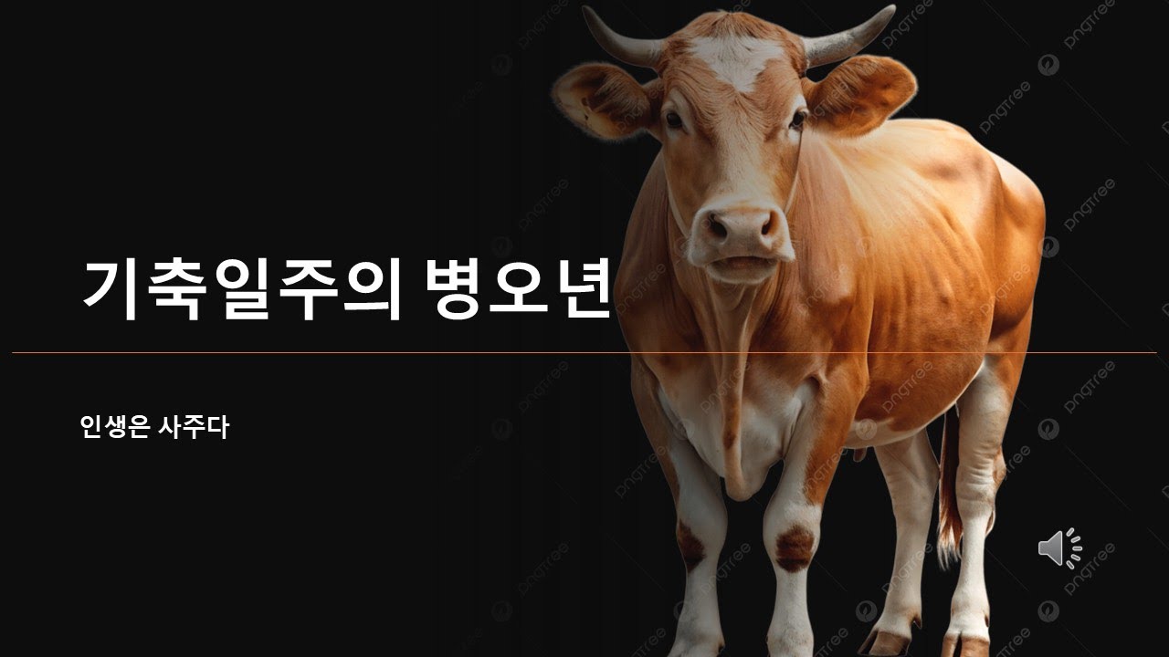 기축일주는 2026년 병오년, 위기인가 기회인가??