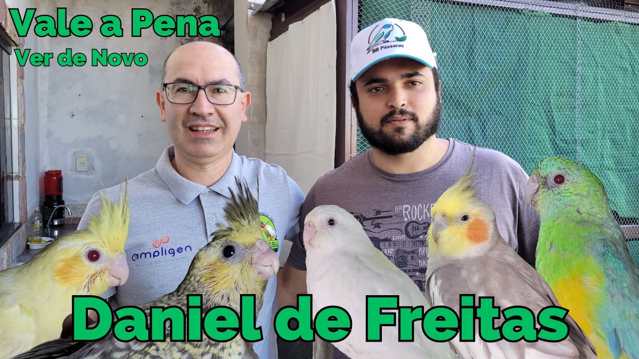 DANIEL DE FREITAS COM RED RUMPED E CALOPSITAS MUTAÇÕES RARAS!!!