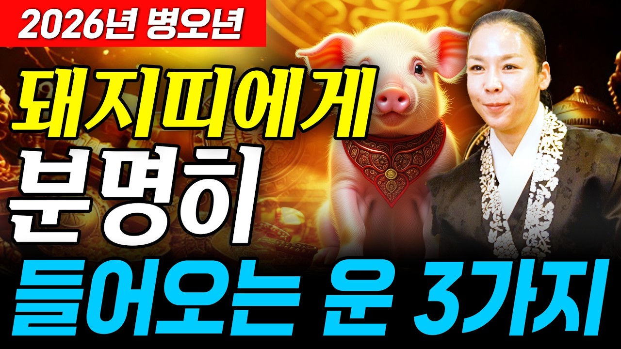 [2026년 병오년 돼지띠 운세] 올해 X월 돼지띠는 금전,귀인,문서운까지 모두 들어와 수백억 돈벼락 맞고 무조건 대박납니다! 59년생 71년생 83년생 95년생 돼지띠의 신년운세