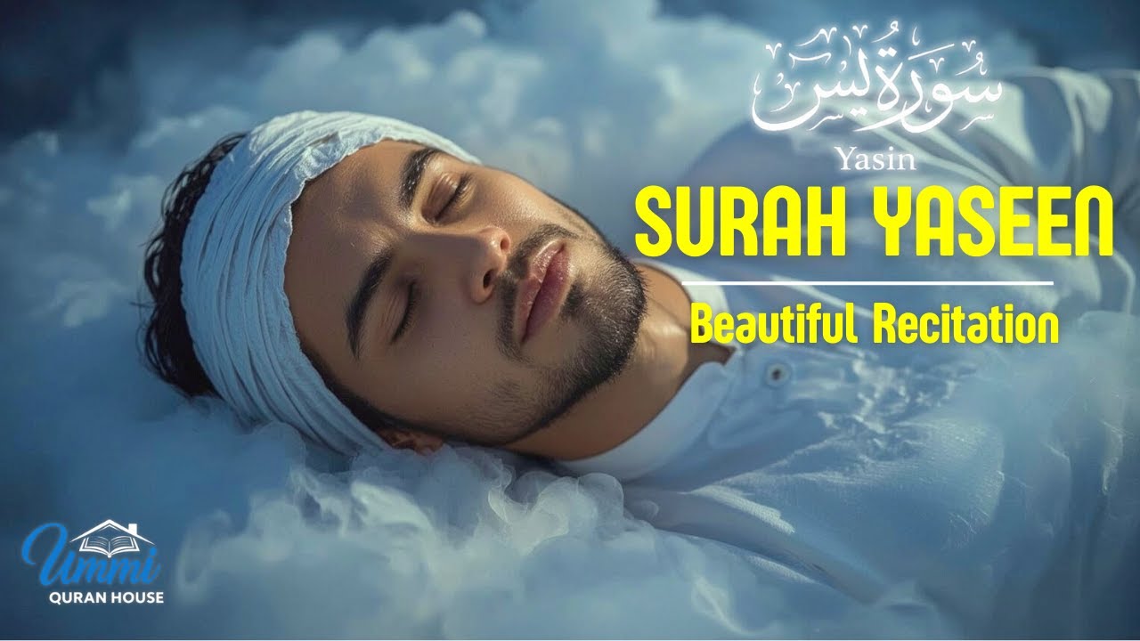 Surah Yasin for Sleep 🌙 Extremely Calm Quran Recitation | Yaseen سورة يس