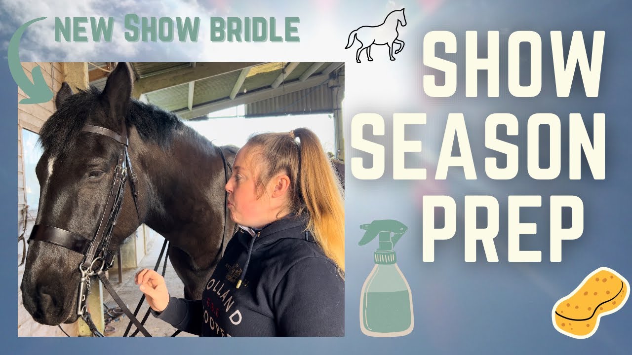 Show Season Prep  🧽 #equestrian #equestrianlife #showhorse