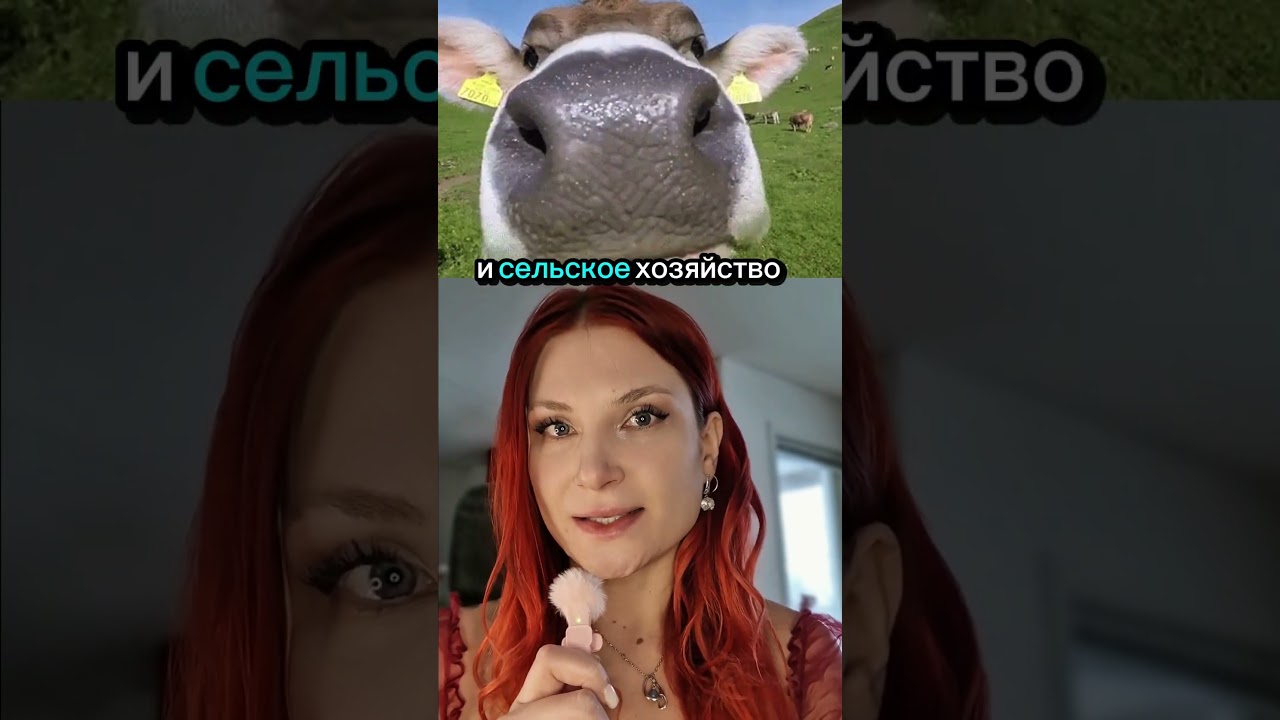 ТОП 5 РАБОТ В НОРВЕГИИ БЕЗ ОБРАЗОВАНИЯ #врек #работа #норвегия #эмиграция #shorts #работавнорвегии