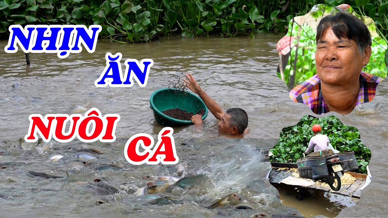 Cặp vợ chồng nghèo nhịn ăn để nuôi đàn cá trên sông - ĐỘC LẠ BÌNH DƯƠNG