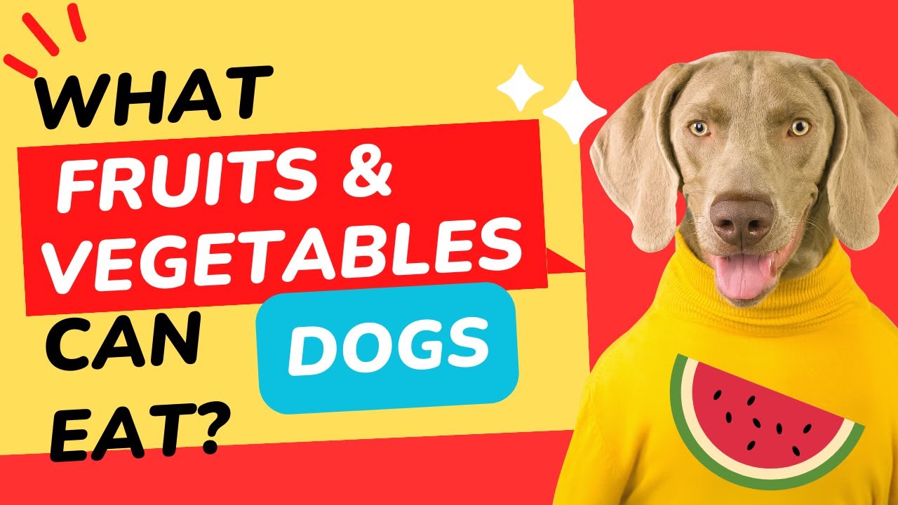 Can Dogs Eat Apples, Bananas, Watermelon, Carrots, Grapes? The Definitive Guide to What Dogs Can Eat