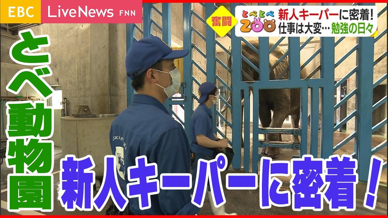 【密着】脱サラしてキ―パーに…！新人キーパー奮闘中