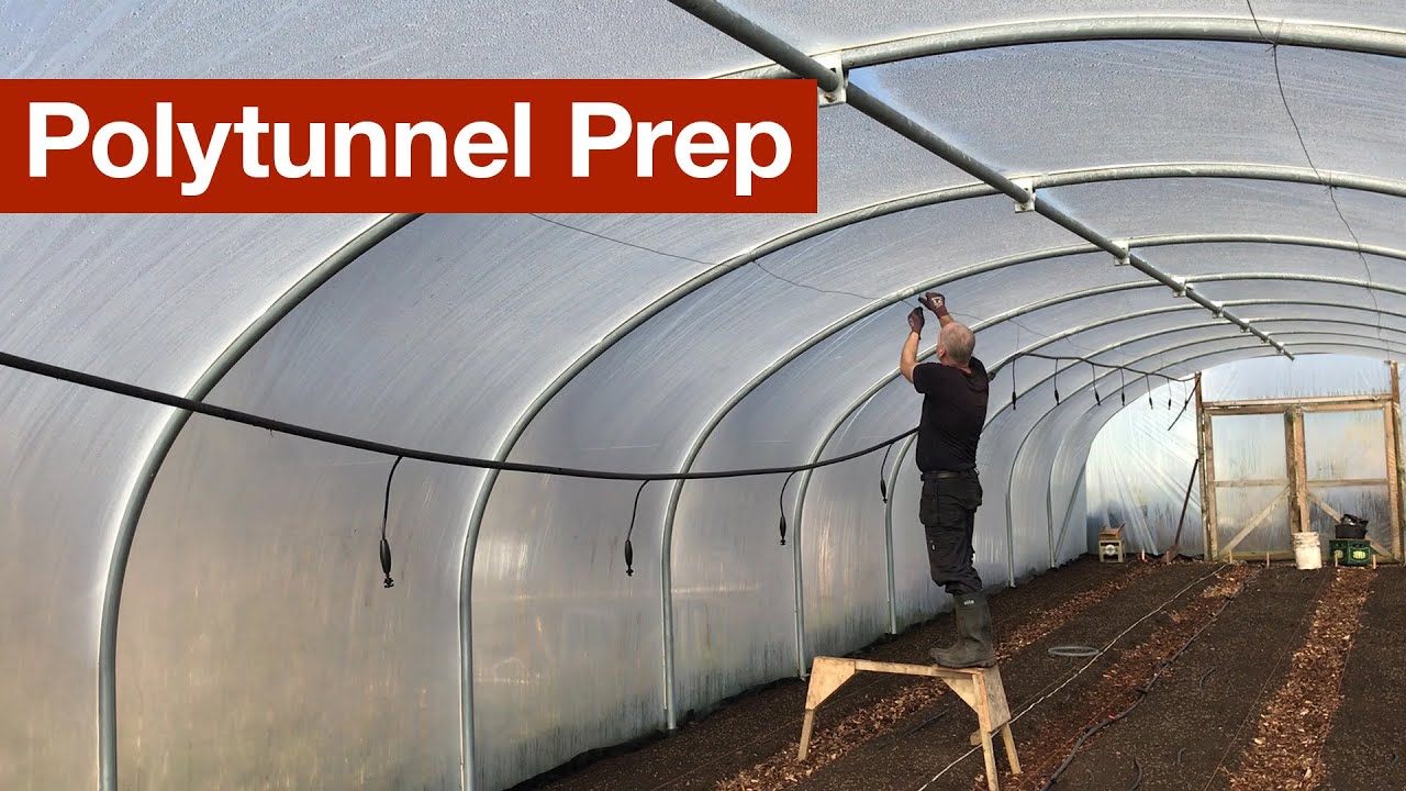 Polytunnel Prep