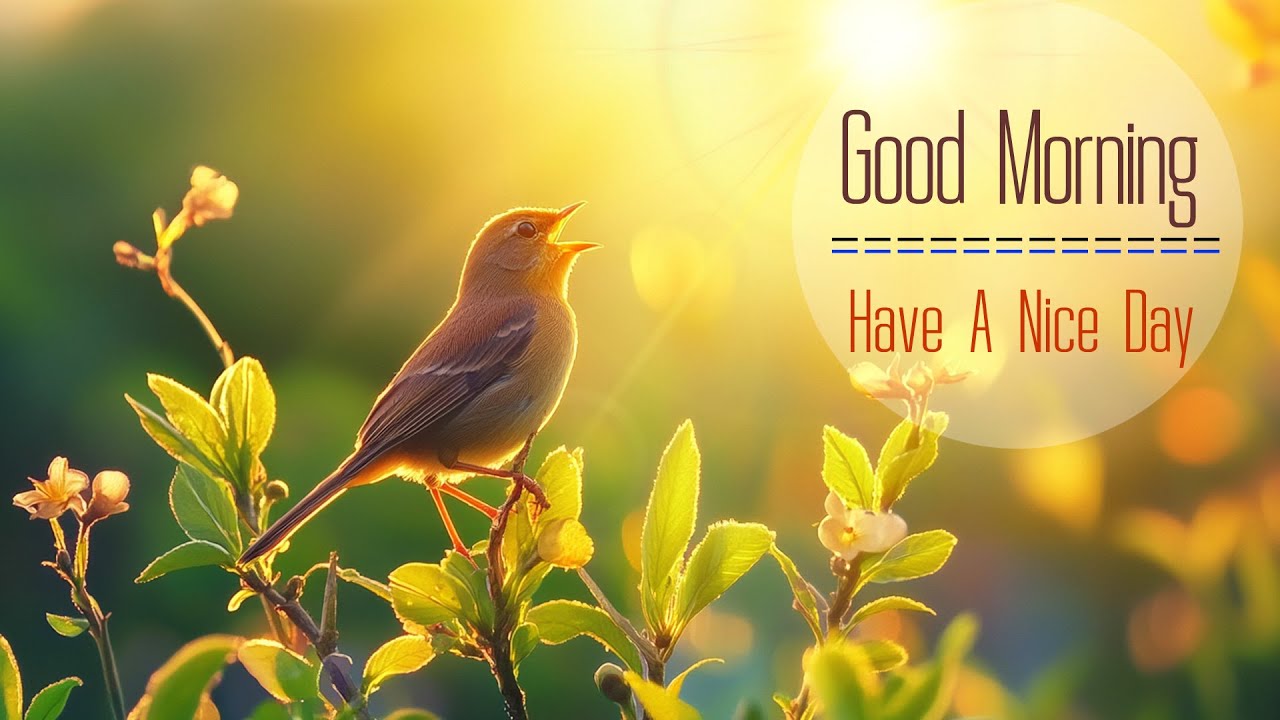 BEAUTIFUL MORNING MUSIC -  Wake Up With Positive Energy and Happiness - Morning Meditation Music