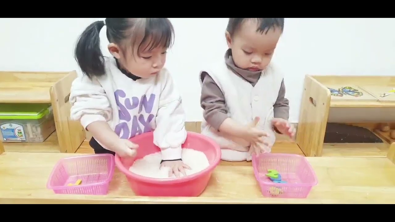 Tìm số trong gạo