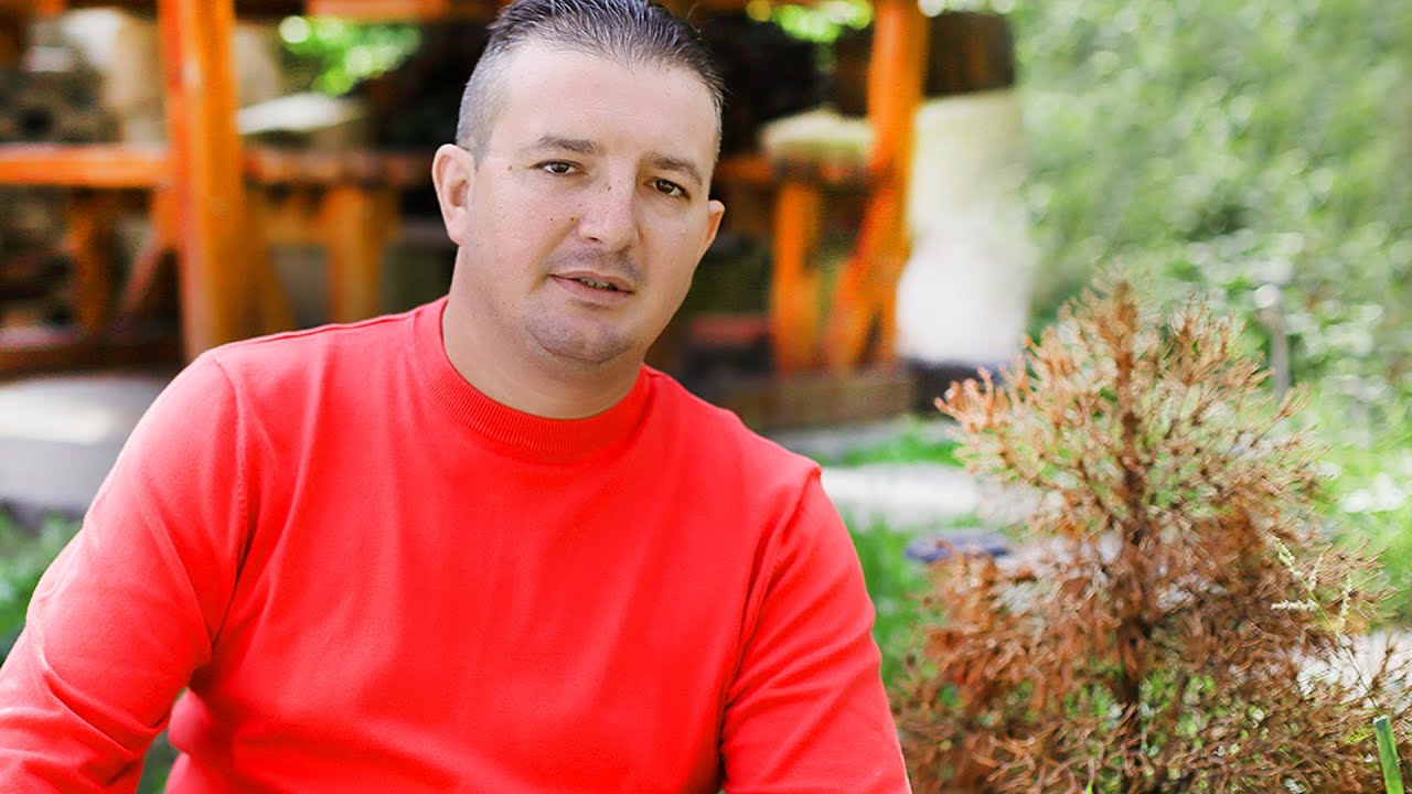 Calin Crisan - Vreau sa traiesc viata asa cum imi place - Colaj 2023
