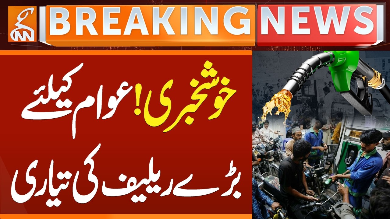 Fuel Subsidy in Pakistan | Big Relief For Public | Petrol Price Updates | Govt in Action | GNN