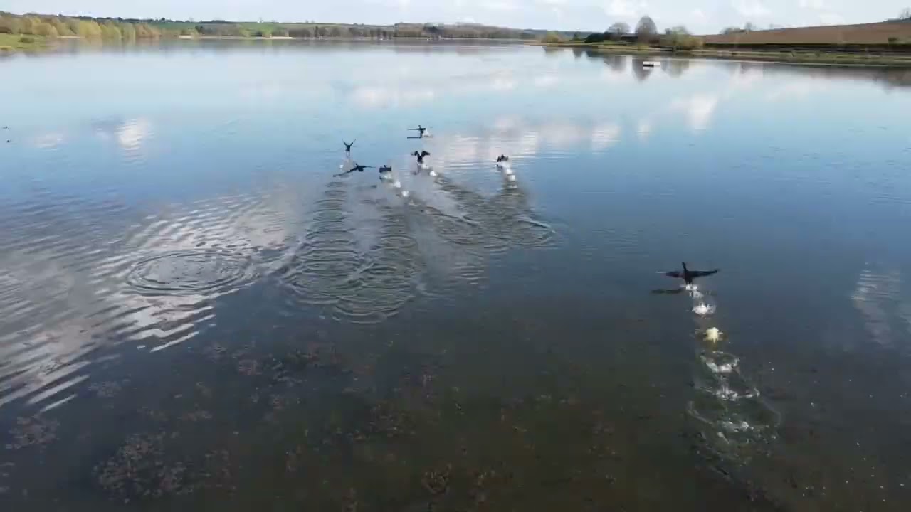 Eyebrook Reservoir