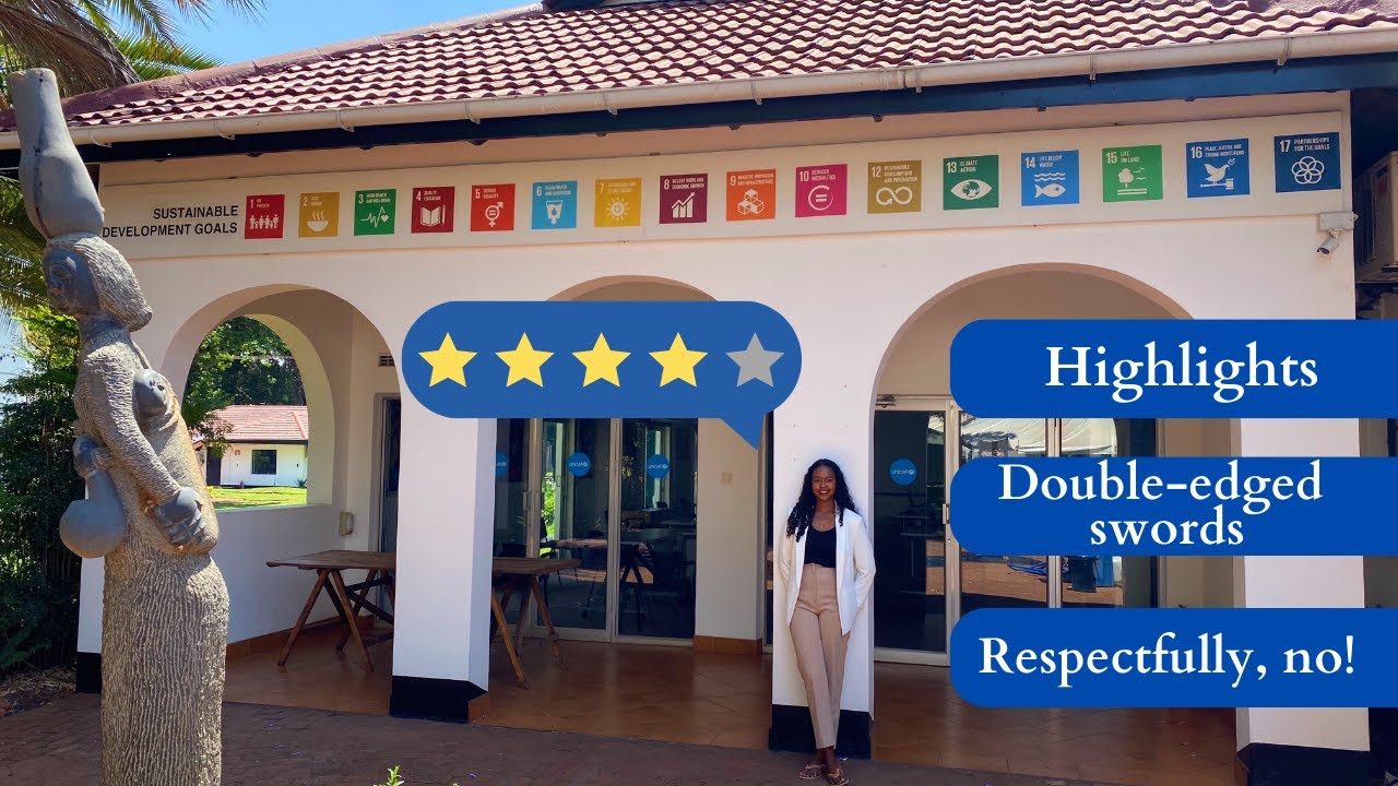 A Review of my UN Internship
