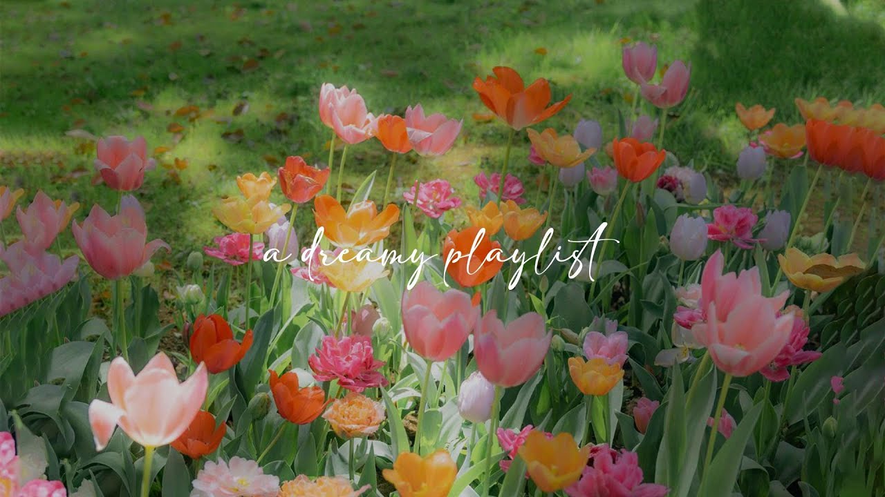spring feels like poetry (calm piano for studying/relaxing)
