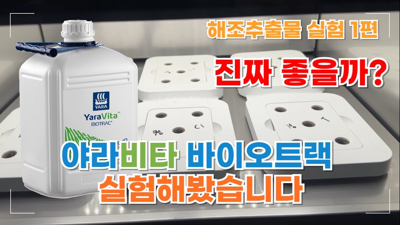 해조추출물 영양제 진짜 좋을까? 처음부터 끝까지 다 보여드립니다. | 해조추출물 실험 1편| 농사 100단