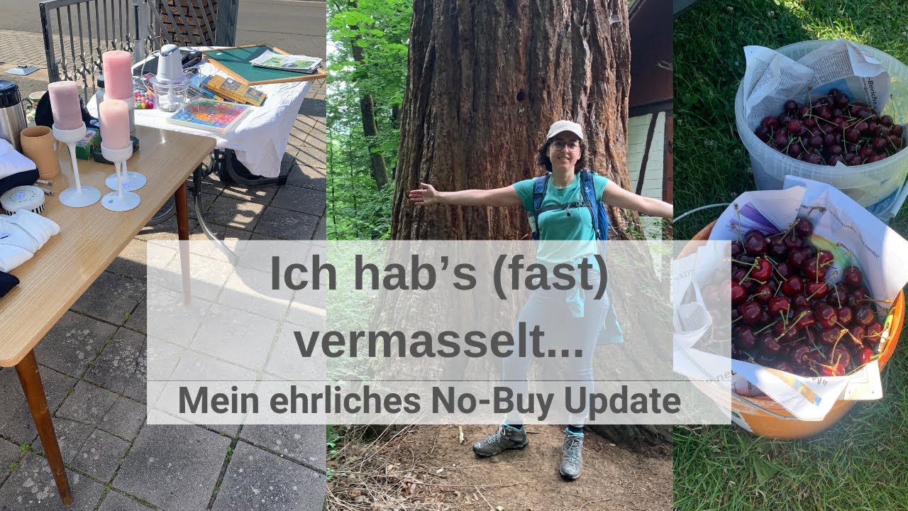No-Buy-Challenge 2025 – Juni Update | Rückschläge, Flohmarkt, Wanderung & Finanz-Experiment