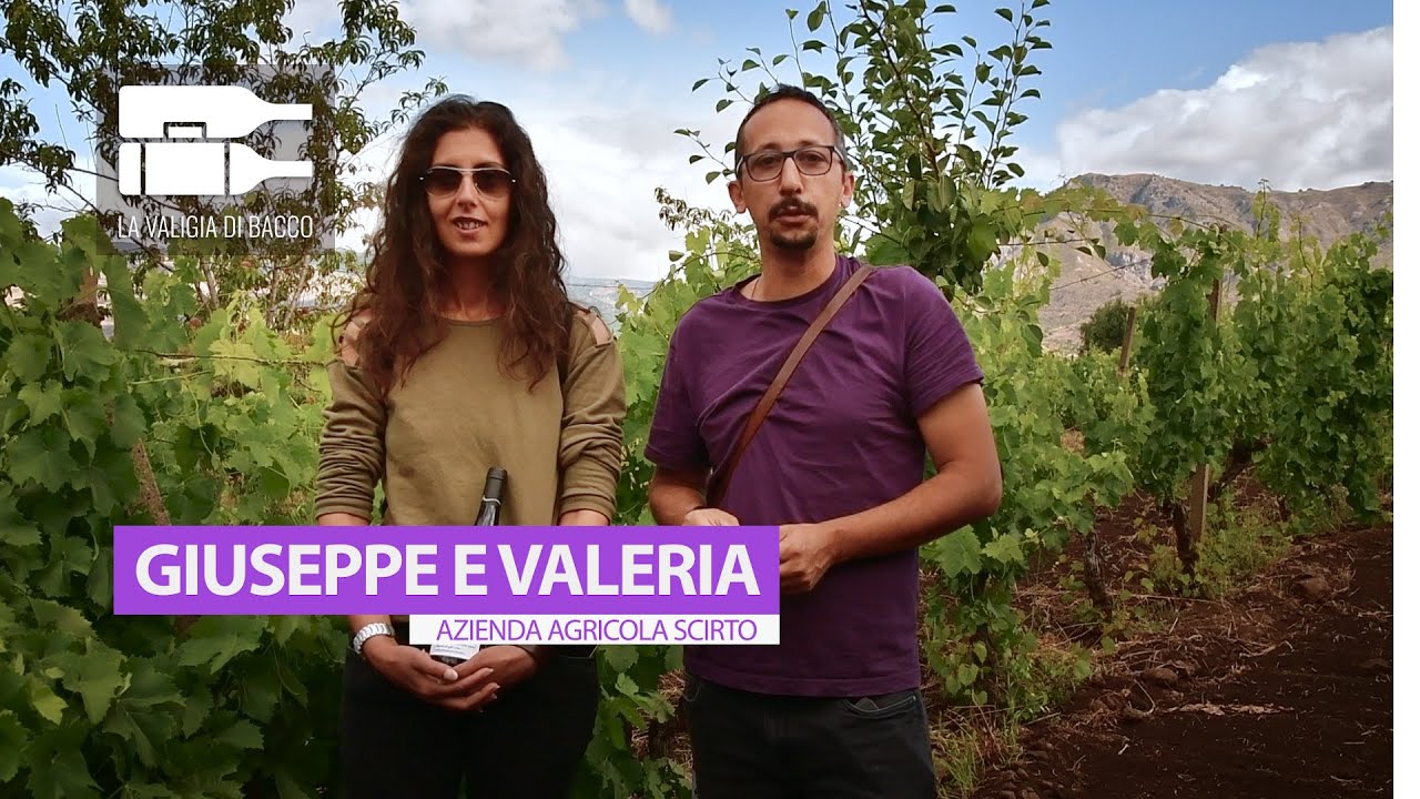Scirto - La valigia di Bacco
