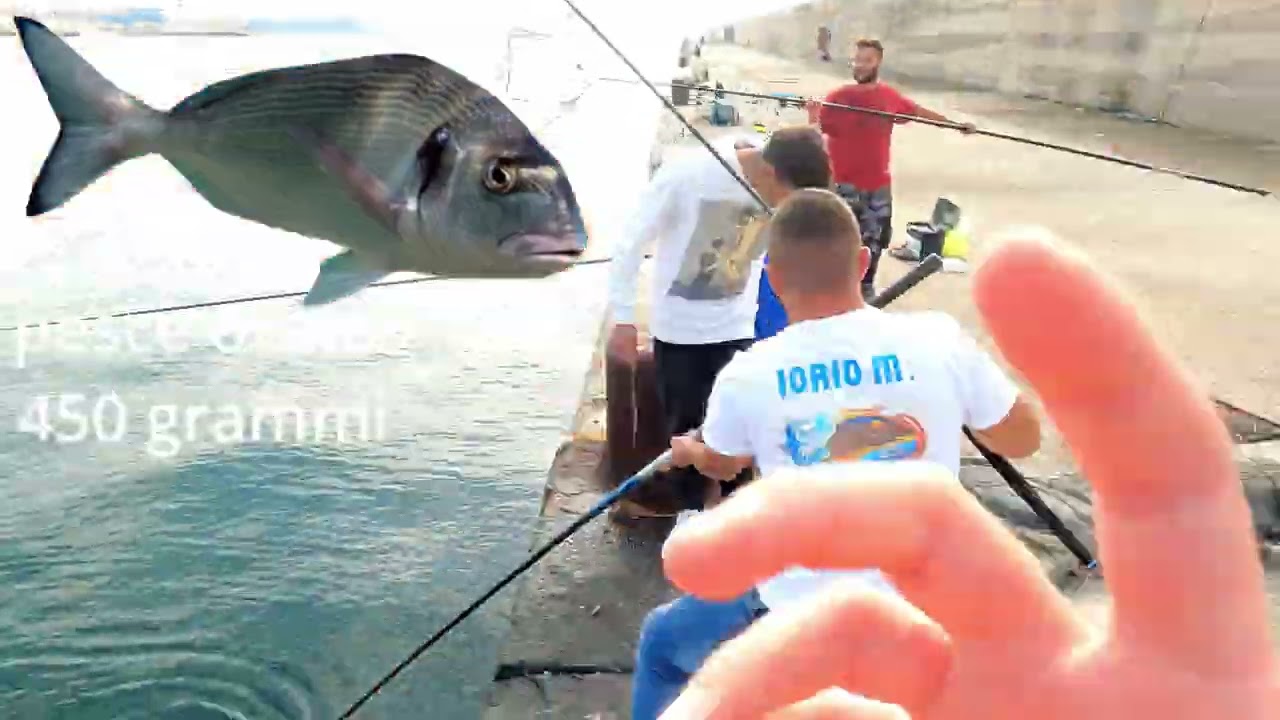 pesca dal molo con tante catture!