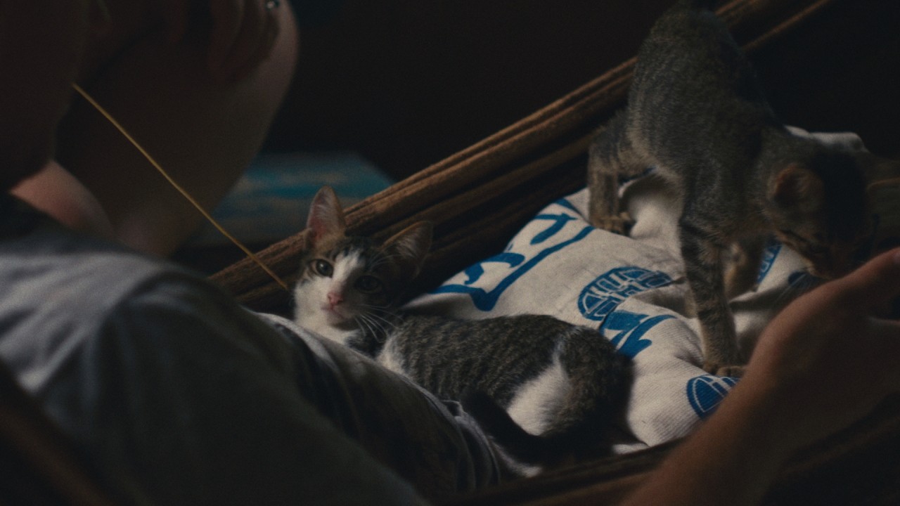 Helios 44-2 Cinematic + ZV-E10 ii
