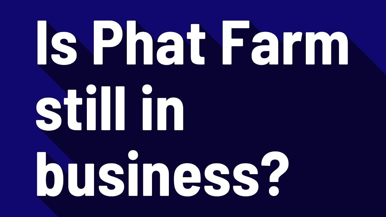 Is Phat Farm still in business?