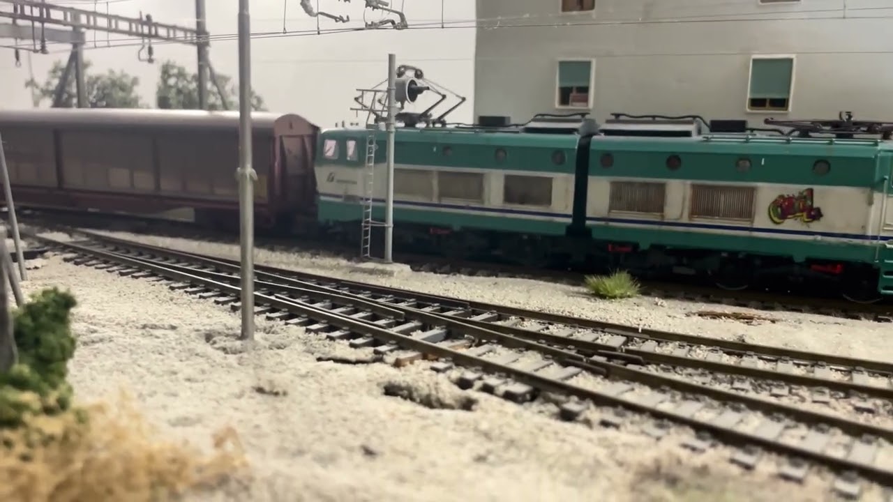 E 656 CAIMANO