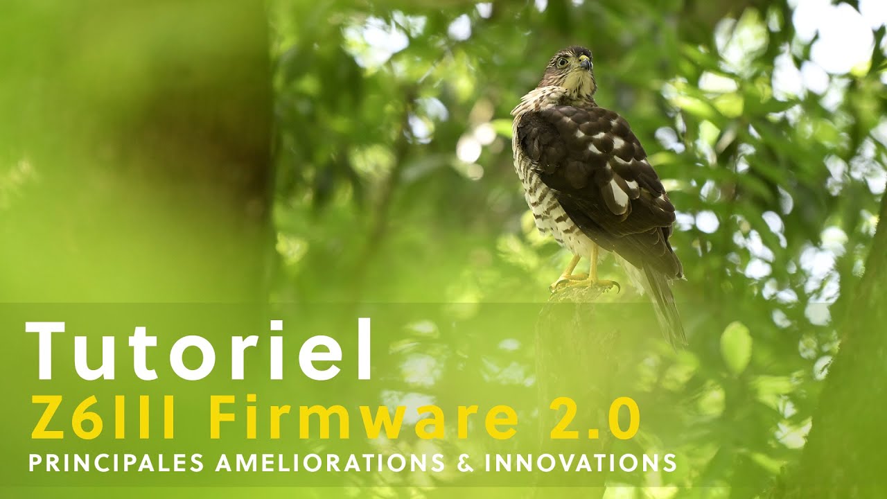 Nikon Z6III | Firmware 2.0